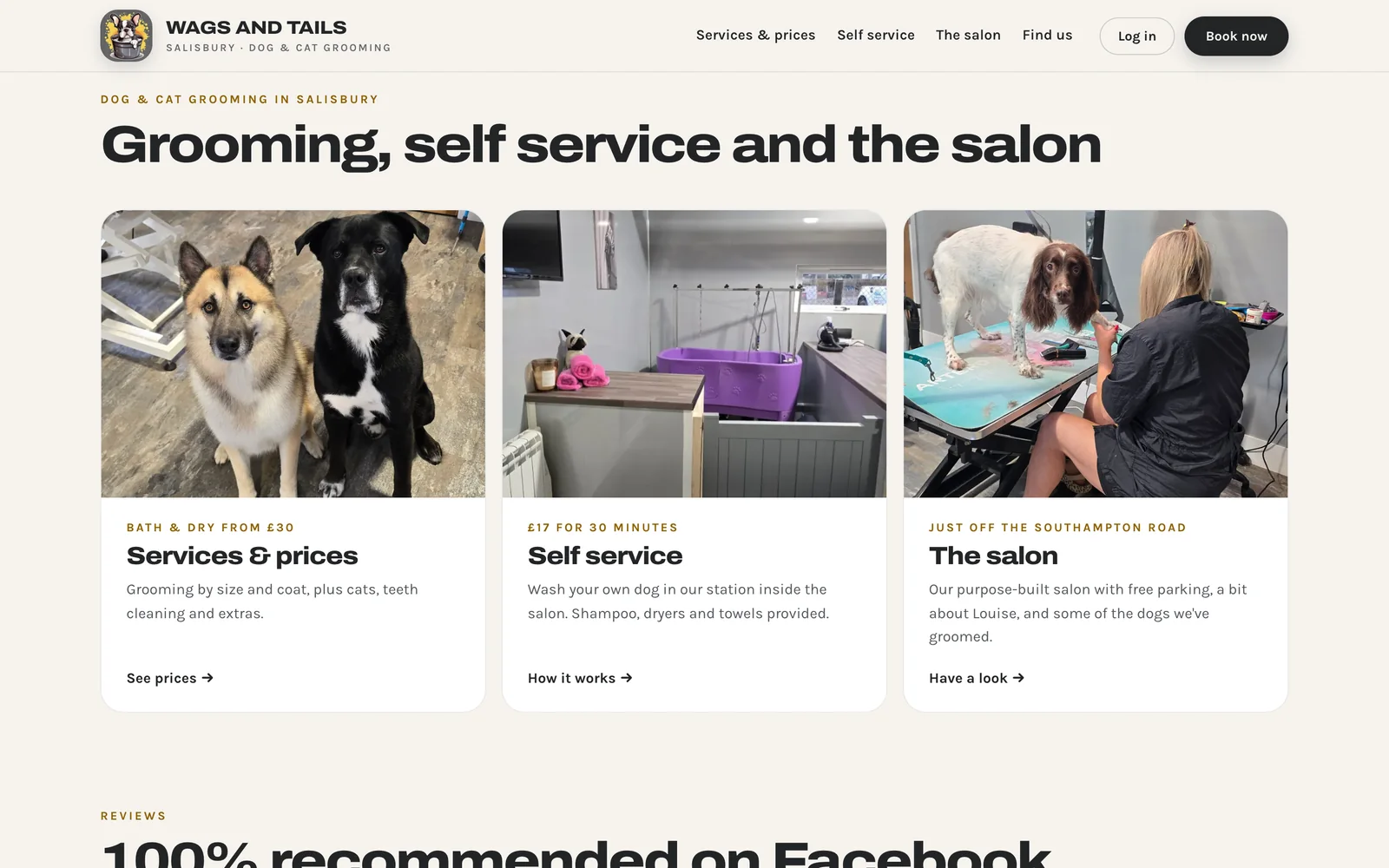 Grooming, self service and the salon: three cards with photos of groomed dogs, the purple self service bath and Louise at work